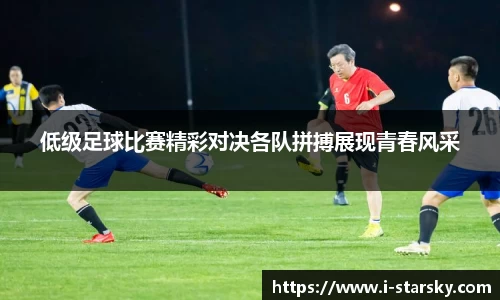 星空体育官网入口