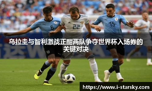 星空体育官网