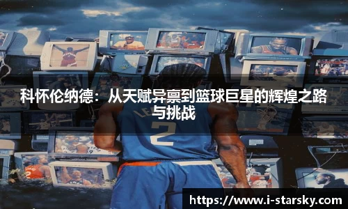 星空体育