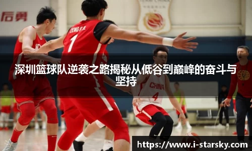 星空体育官网入口